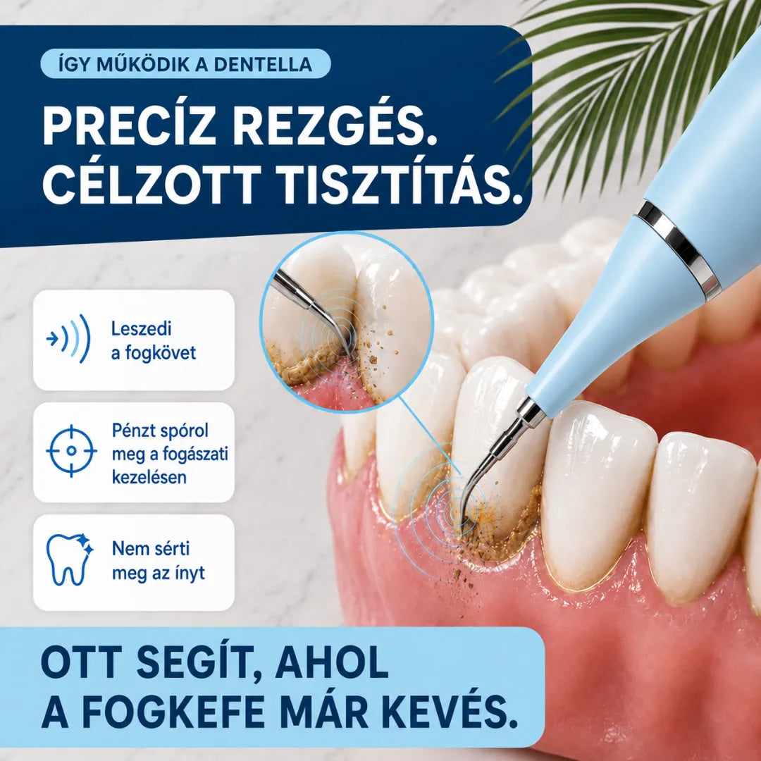 Precíziós Fogtisztító Készülék